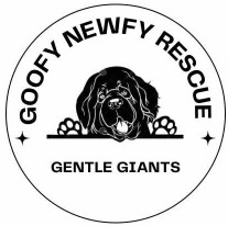 Goofy Newfy Rescue logo